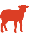 FRI-icon-lamb-color